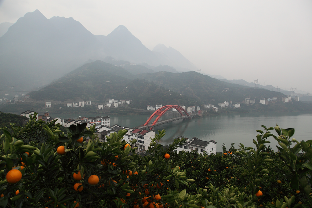 ����MMC�׽���ɴ�����۸��࣬�����úܶࡱ