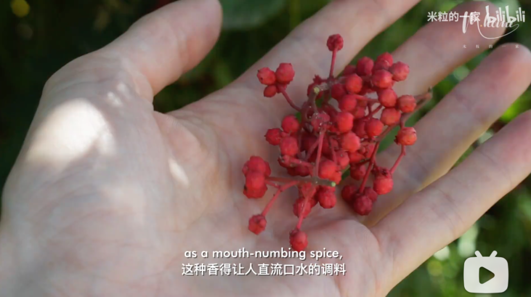 瑞典女孩嫁给了青海农村汉子，爱上中国农村生活