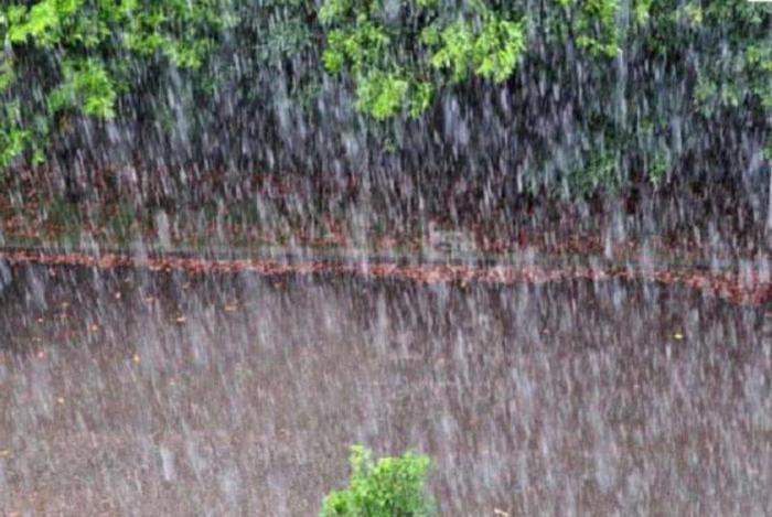 世界最潮湿的地方，一年365天都在下雨，当地人