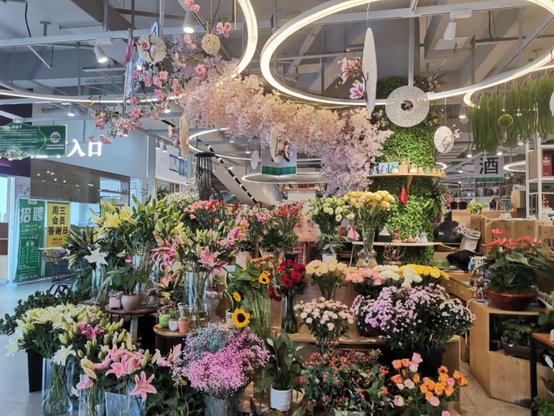 ��������54%���������ű�Ӧ�����Ѻ�����ҵ���賤������