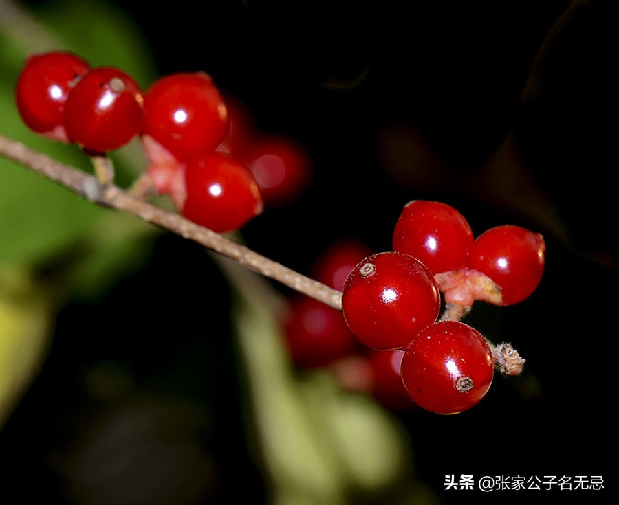 最揪心的相思是什么滋味？-第2张图片-非凡网