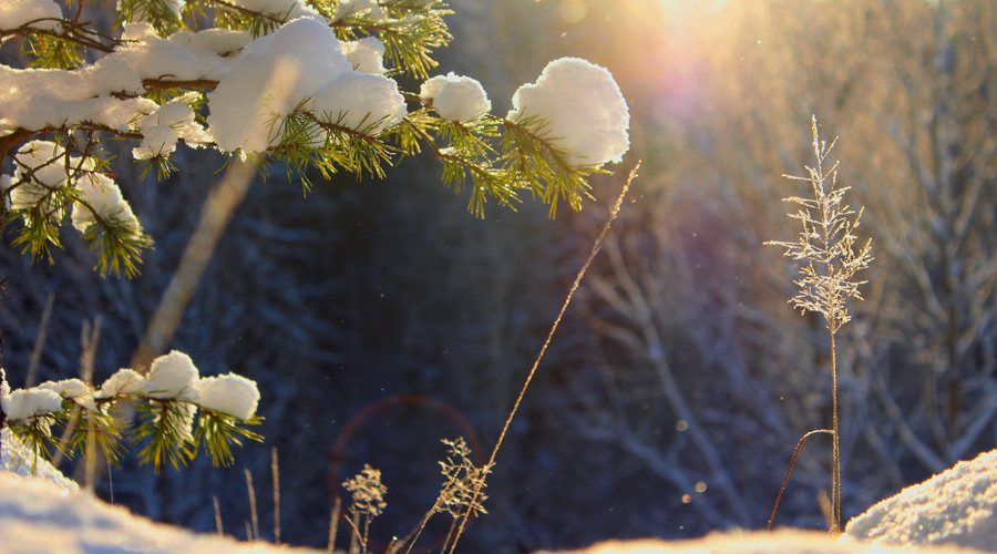 好诗如暖阳：十首诗词，温暖你的冬天-第8张图片-诗句网