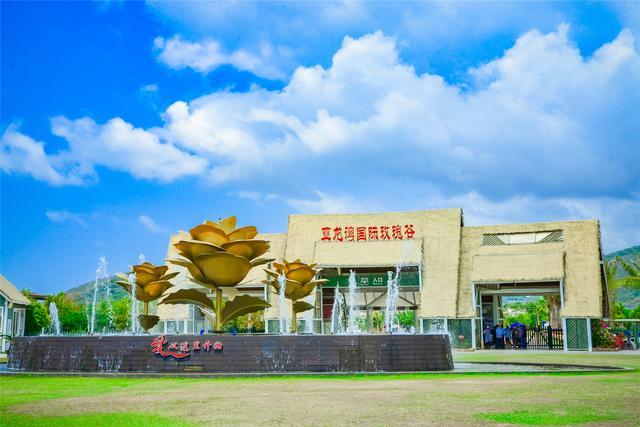 冬天旅行首选目的地，三亚吃喝玩乐全攻略，给你最悠闲的海岛时光