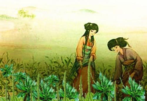品读各朝代劳动诗词，致敬最美的人-第1张图片-非凡网