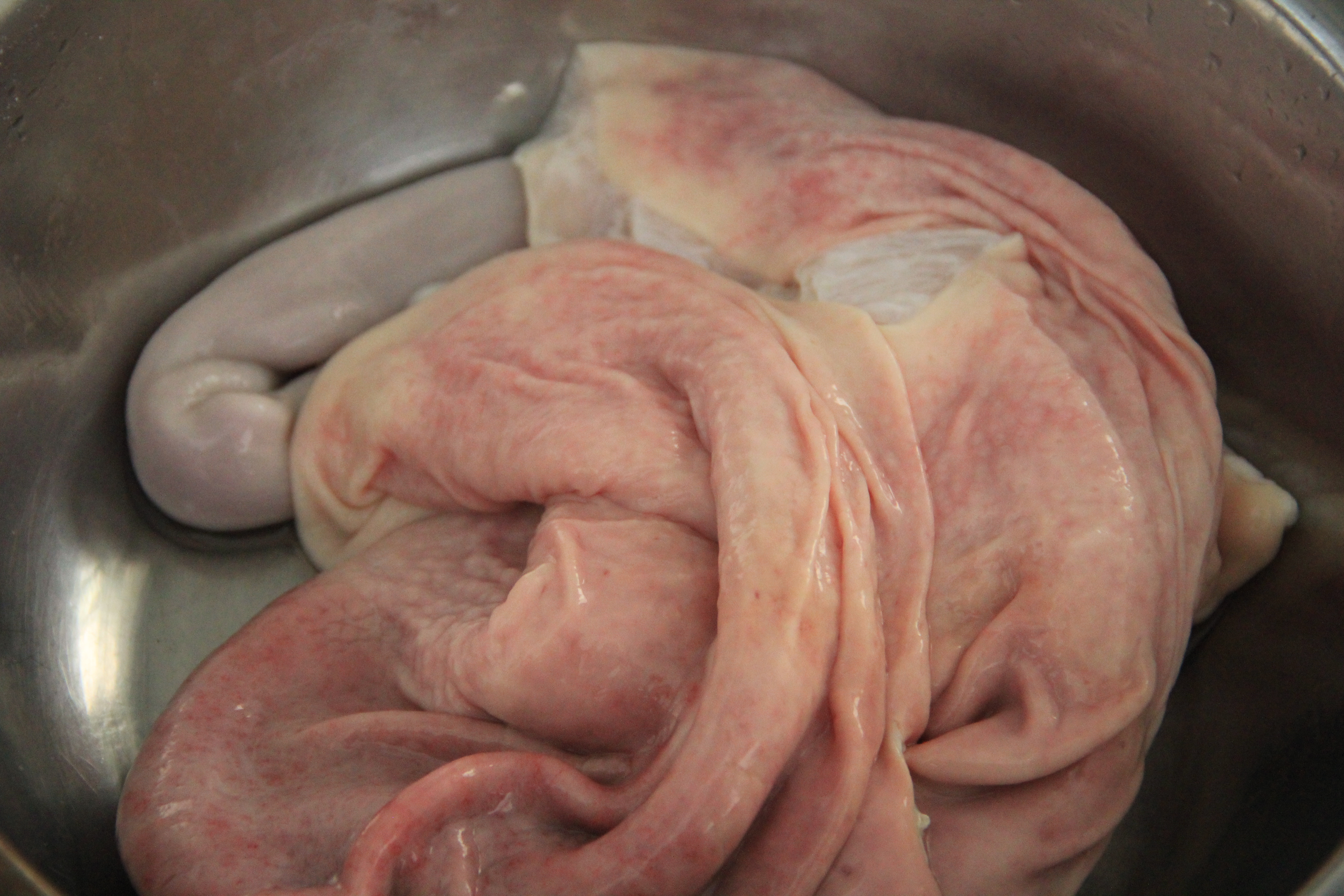 图片[6]-如何清洗猪肚做法步骤图 猪肚干净无异味学会受用一辈子-起舞食谱网