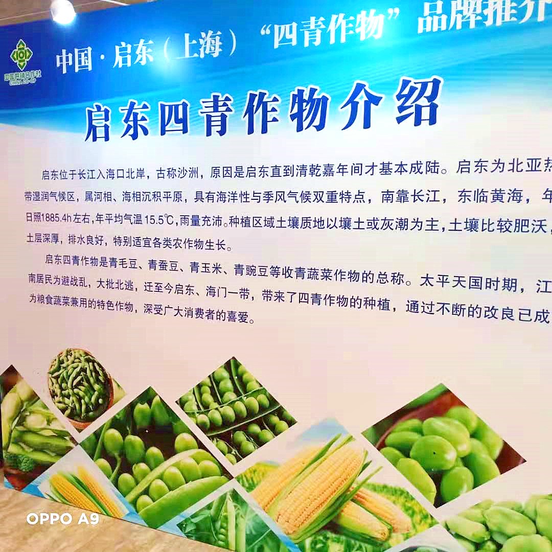 中國啟東（上海）“四青作物”品牌推介會成功舉行