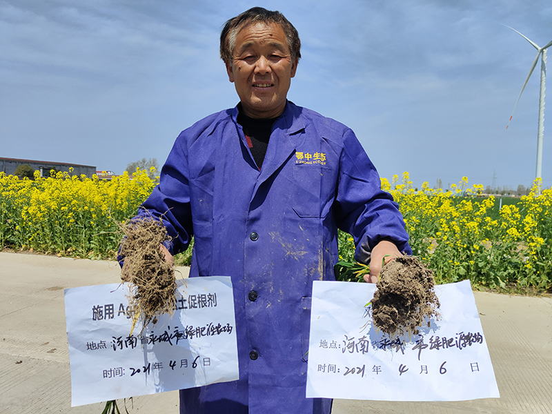 土壤改良的关键在哪里？如何进行土壤改良？