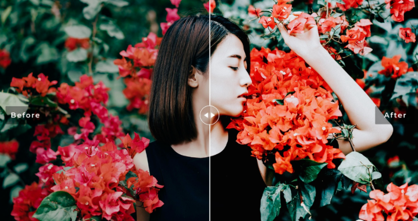 2020高级预设:外拍杜鹃花海人像LR预设+移动LR预