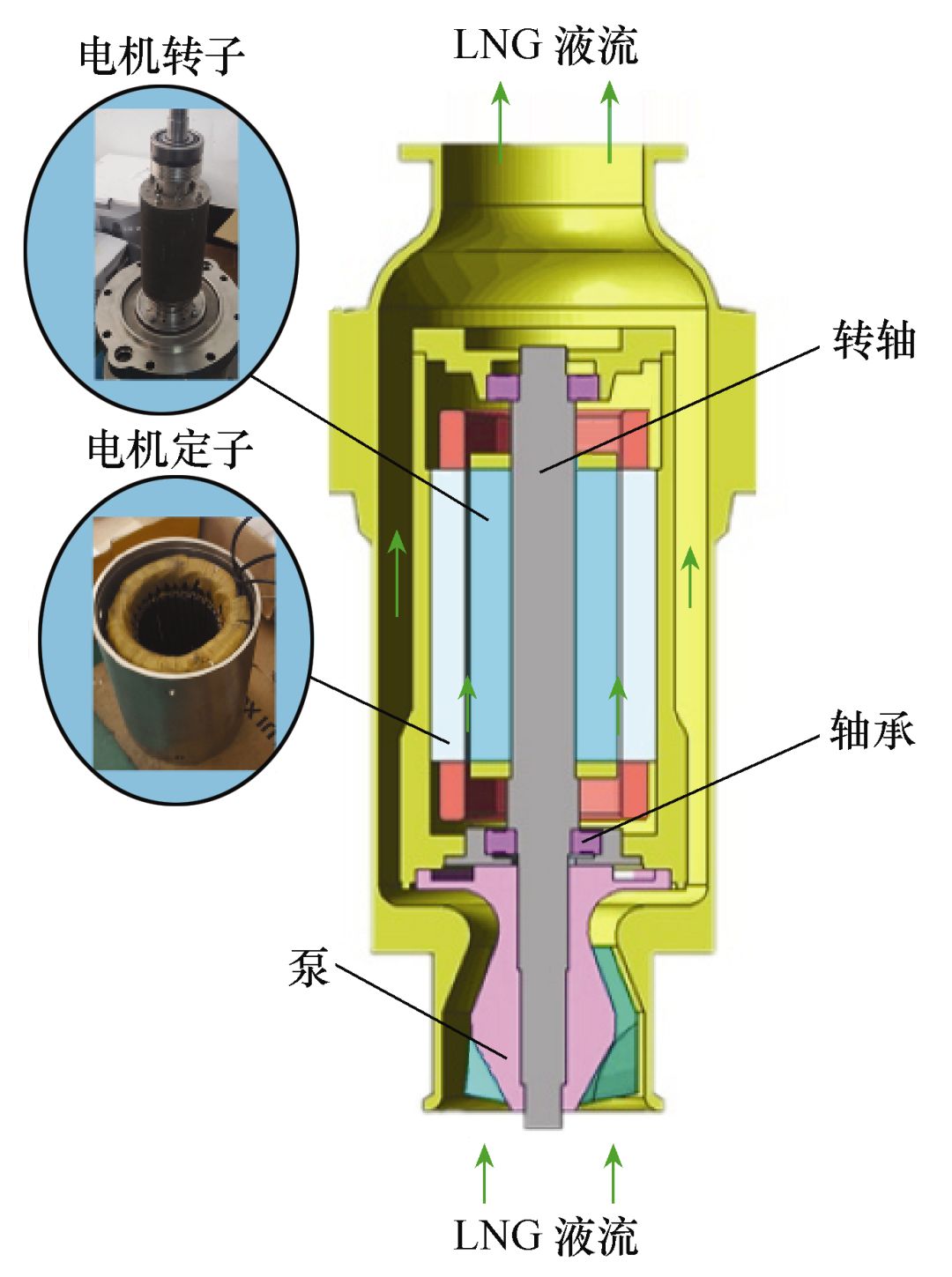 学术简报︱潜液式低温永磁同步电机的设计与特性研究