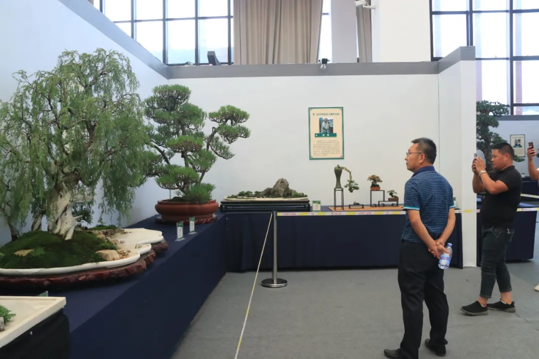 大饱眼福，第八届中国沭阳花木节竟如斯出色！你想看的全在这里…