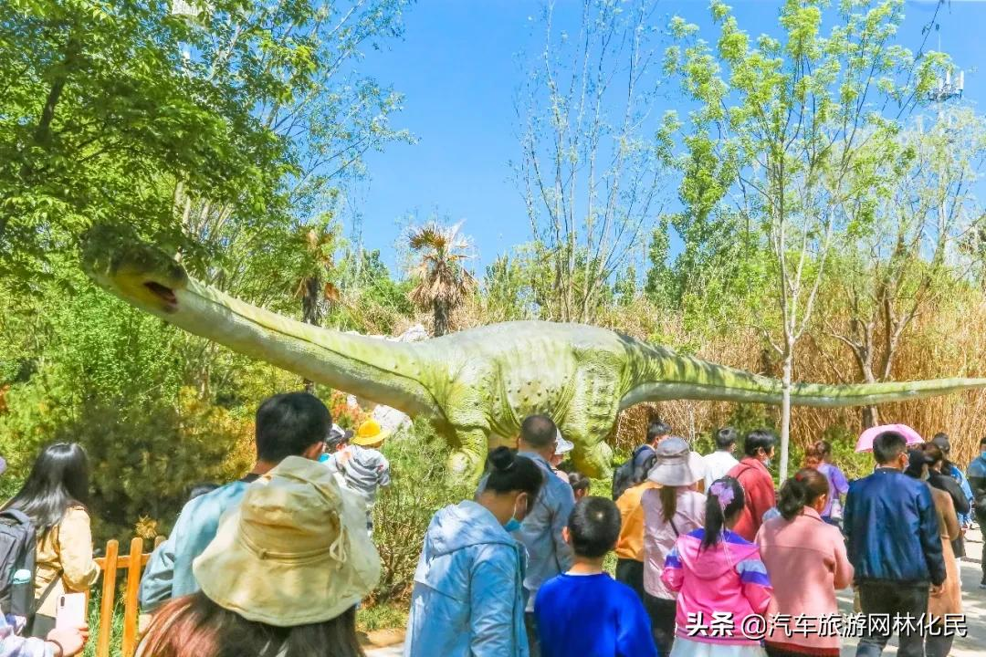 “五一”乐翻天，龙园景区游人如织，秩序井然