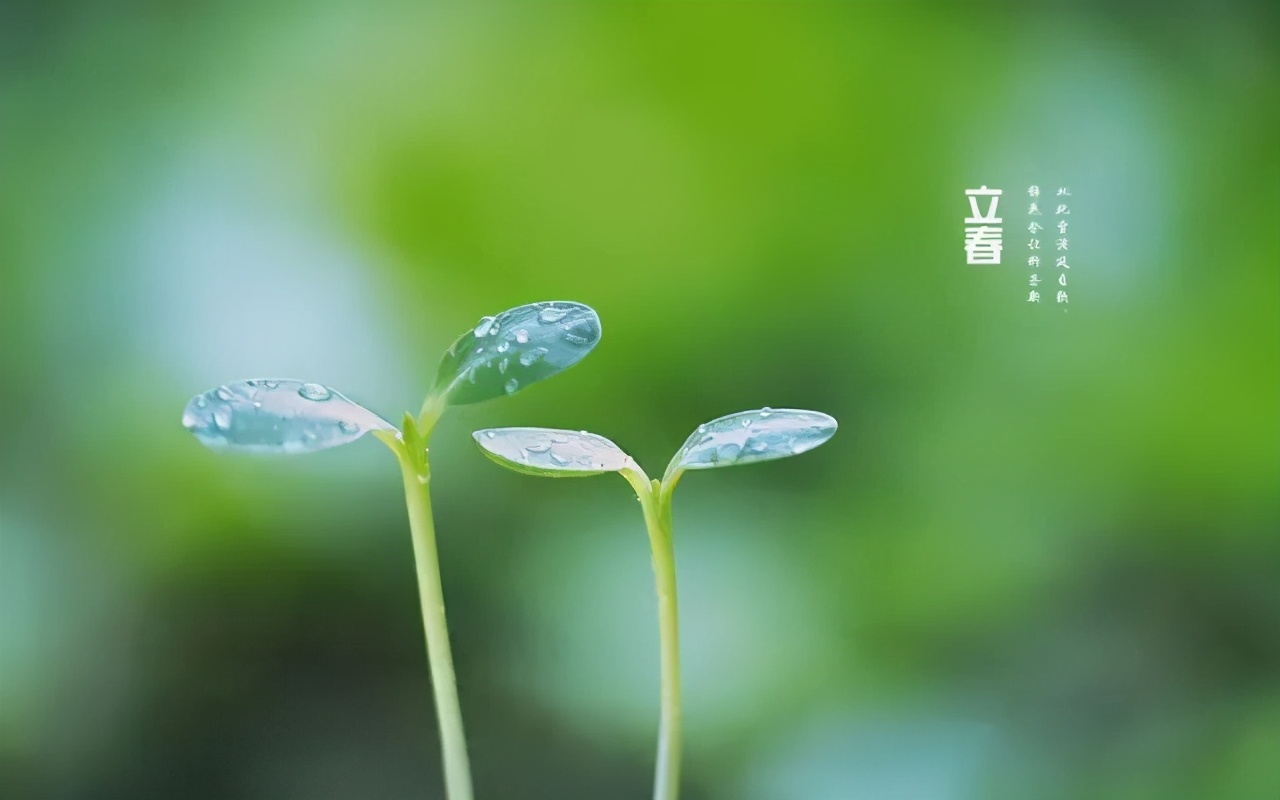 立春 | 春暖花開，萬物復(fù)蘇，不負(fù)春光