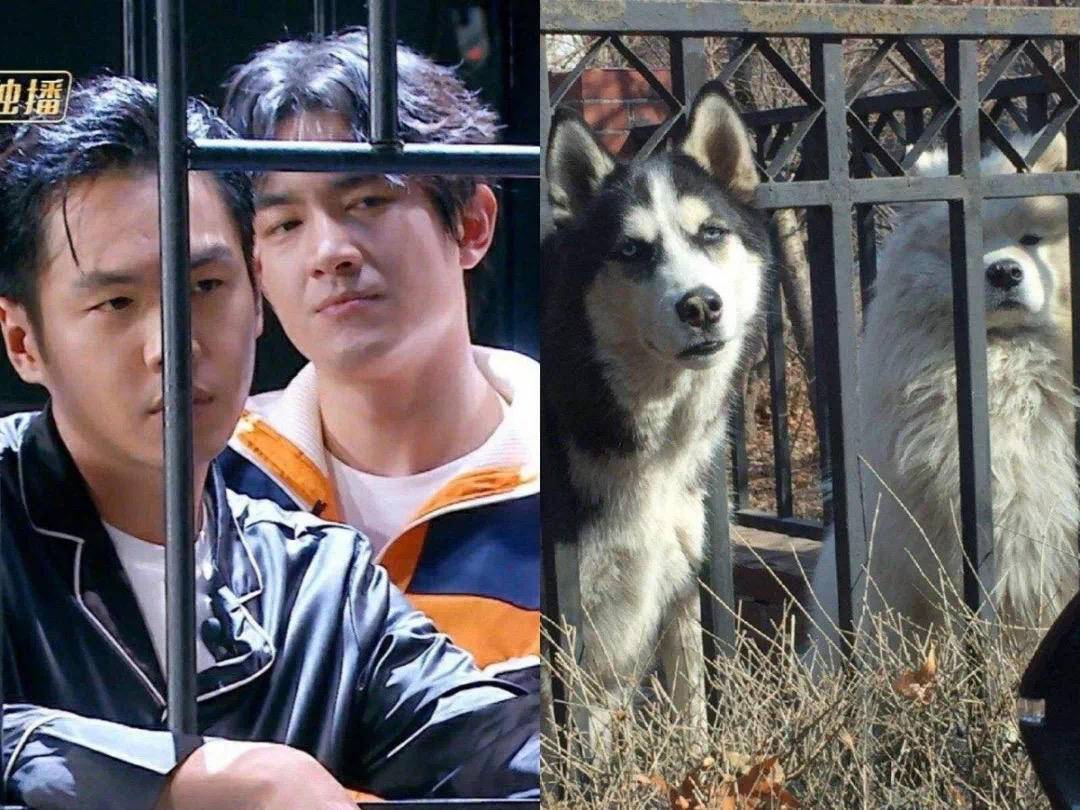 85后男演员好感度投票，张若昀脱颖而出，这国民度真不是盖的