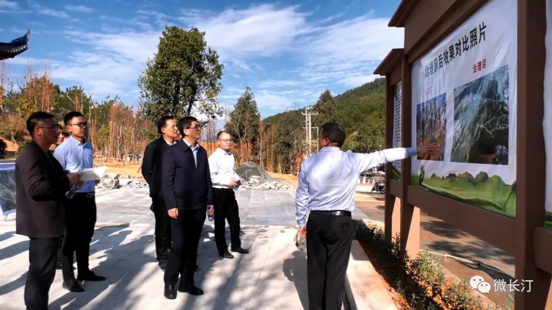 福建省金融监管局领导来汀调研