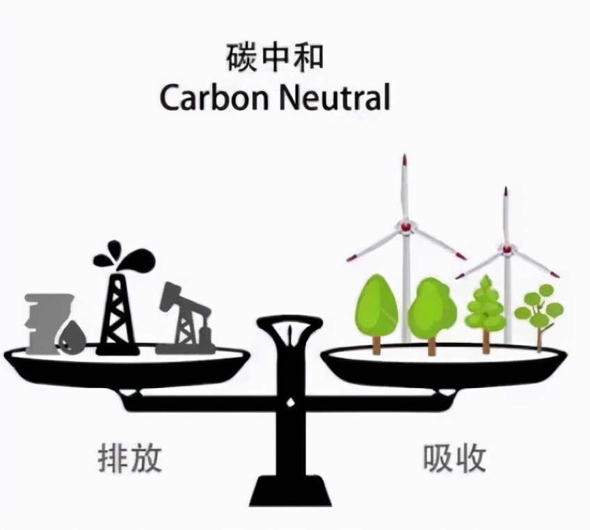 “碳中和”概念逆市上涨，这三个领域值得关注