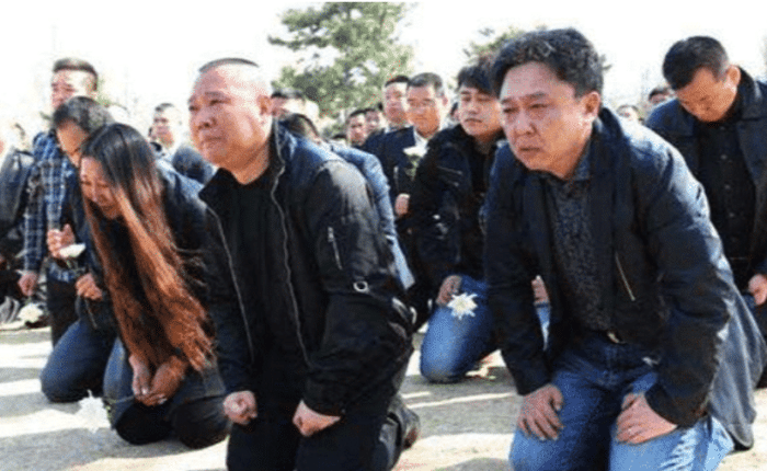 公众人物在荧屏上的下跪行为，你们是否看得出