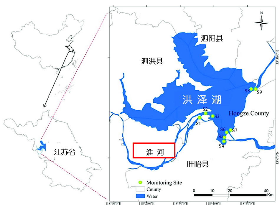 洪澤湖的位置及其與淮河的關係作為一個典型的過水性湖泊,洪澤湖的