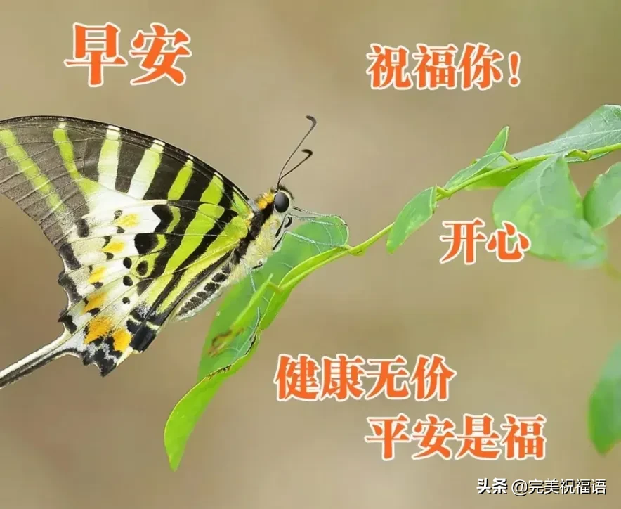 早上好唯美暖心问候语 早安祝福语漂亮图片图片