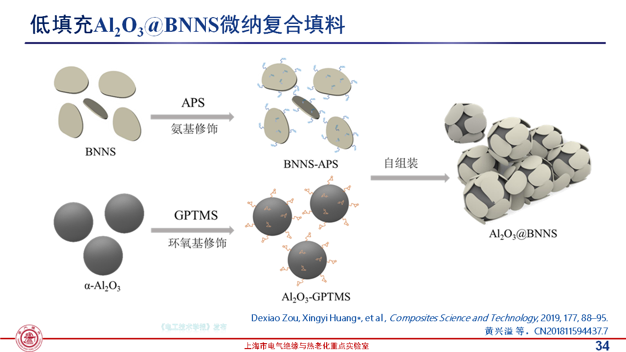 上海交通大学黄兴溢教授：导热绝缘复合电介质中的界面设计与实证