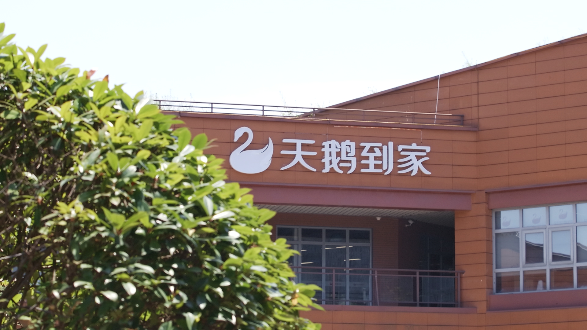 天鹅到家拟在纽交所上市：年营收超7亿元，亏损率逐渐收窄