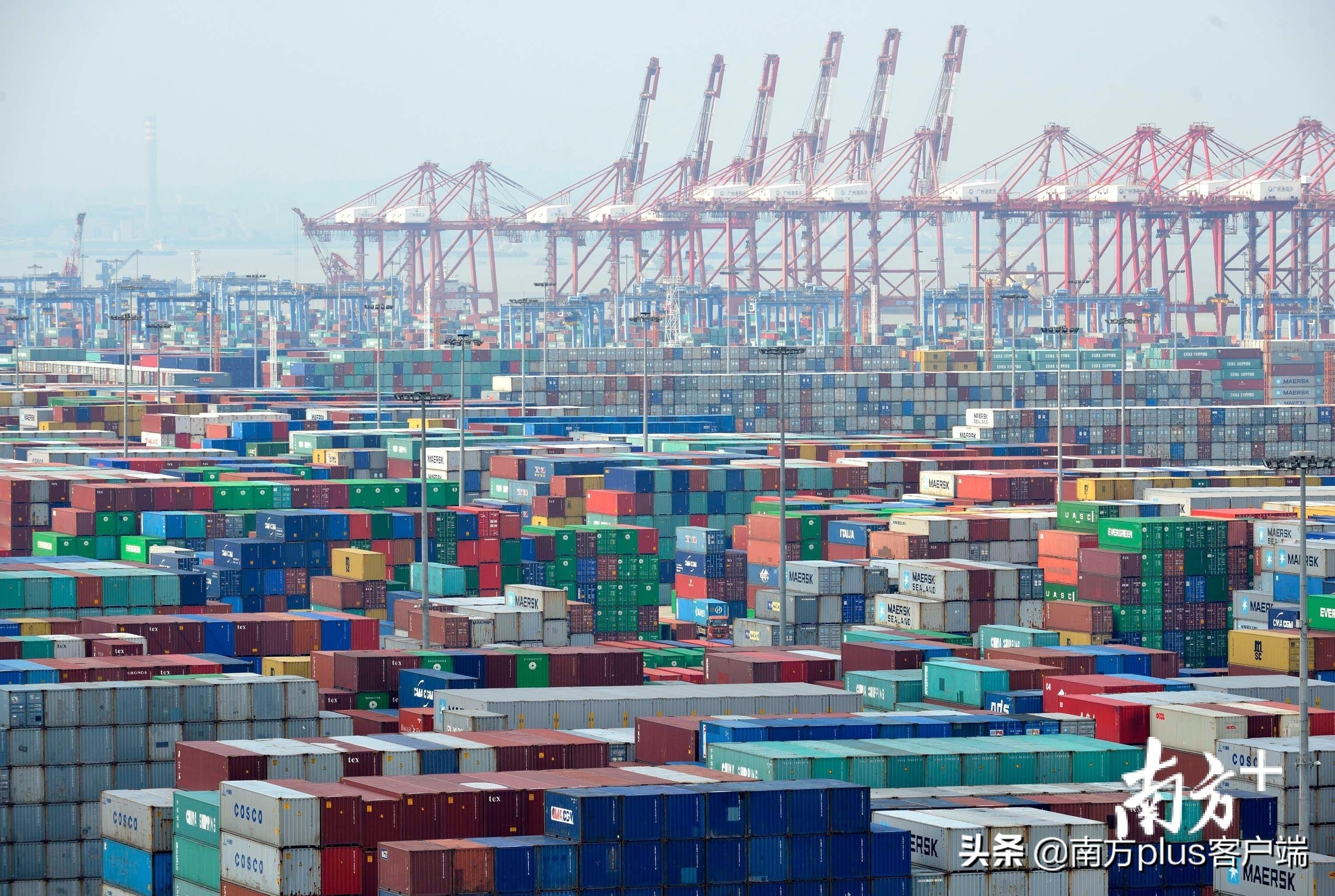 The college is graduate this year 9.09 million innovation is tall, come " those who fight consenescence " does Guangdong spell how? 