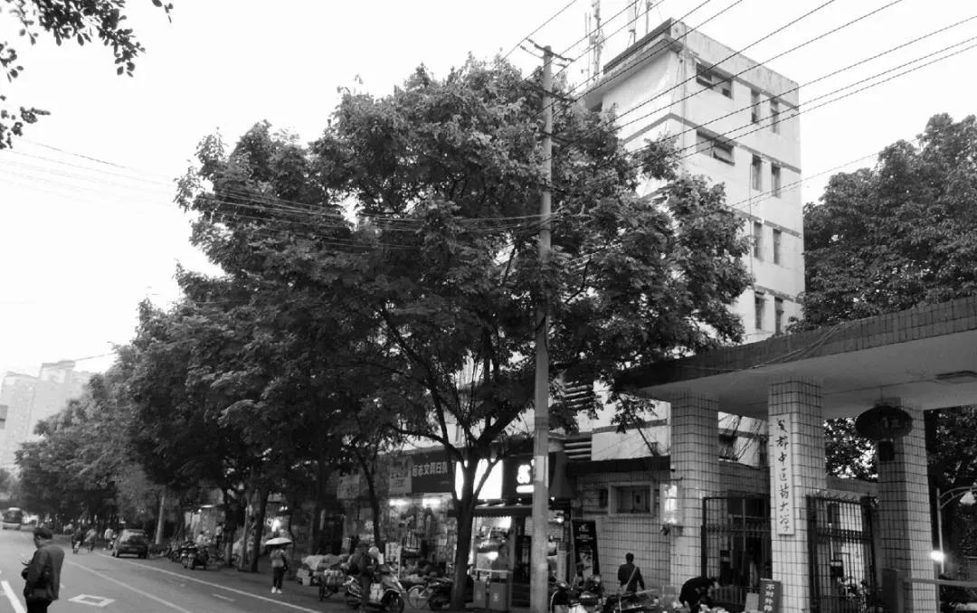 街区优秀规划案例：枣子巷中医药文化特色街区