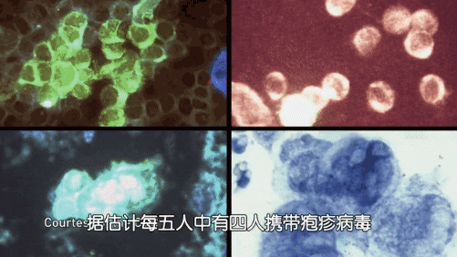 这部全是神反转奇案的解剖纪录片，堪称法医入坑神作