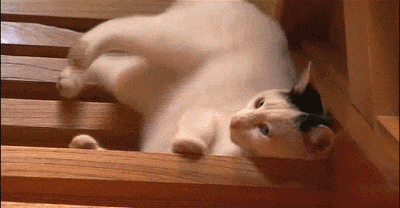 豆瓣9.0，风靡岛国十年，国民女神集体为它沦陷