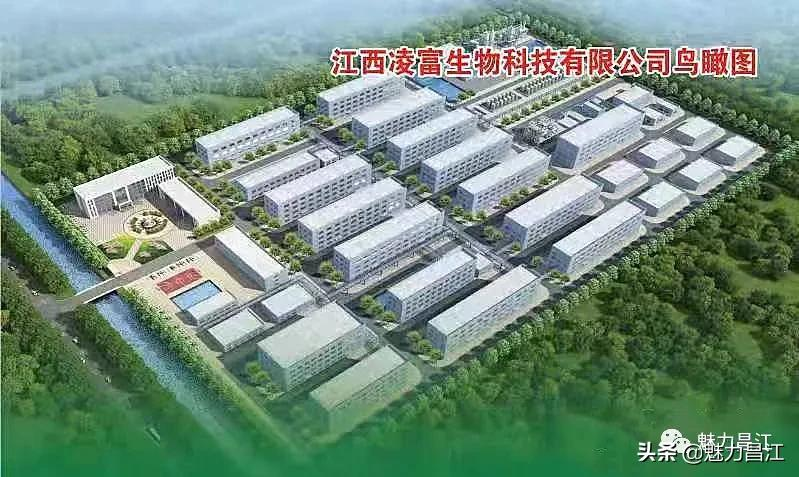 彻夜奋战！凌富医药项目建设加班冲刺