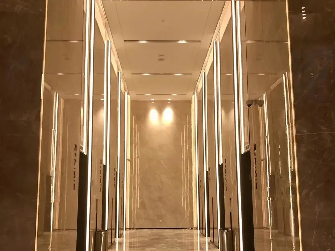 曾经播下的希望种子，此刻已枝繁叶茂