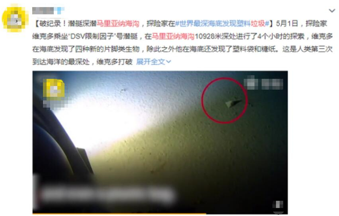 深海100000米以下生物，海底10000米是什么概念？图片