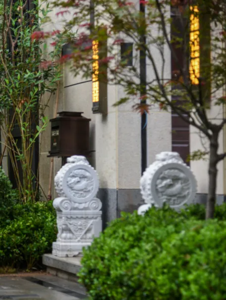 曾经播下的希望种子，此刻已枝繁叶茂