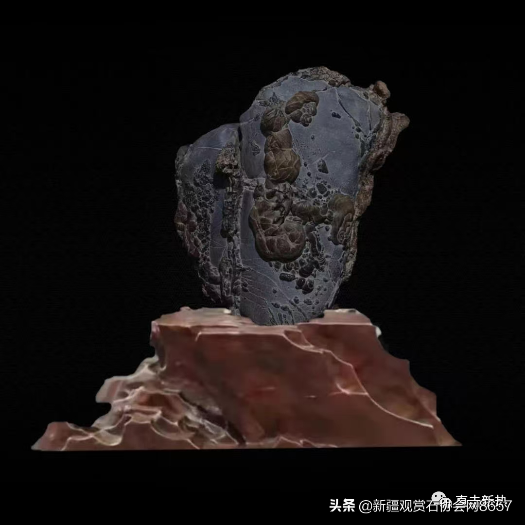赏石 会赏更需会悟以石为友 Mp头条