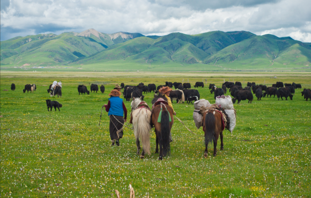 Walk through 318 secrets once and experience the beauty of more than Switzerland + New Zealand
