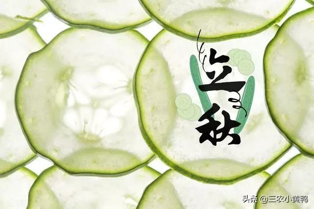 “六月立秋样样丢，七月立秋样样收”，今年几月立秋？秋后热吗？