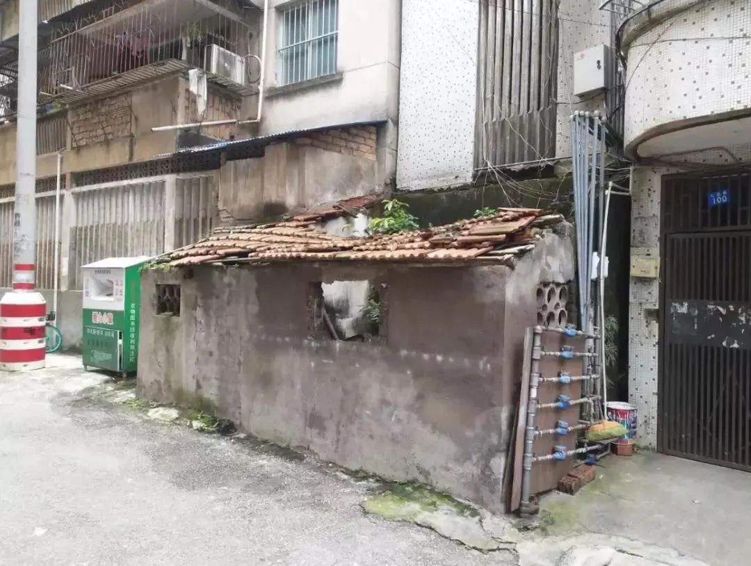 终于盼到“神兽”出笼，家长们却发了愁