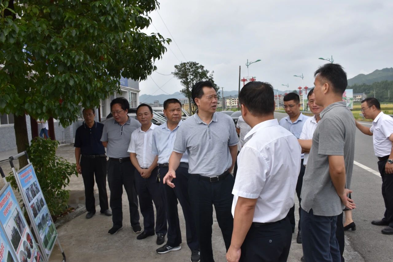 精准精细从严落实各项重点工作石希欣深入会同调研粮食生产禁捕退捕和乡镇人大工作