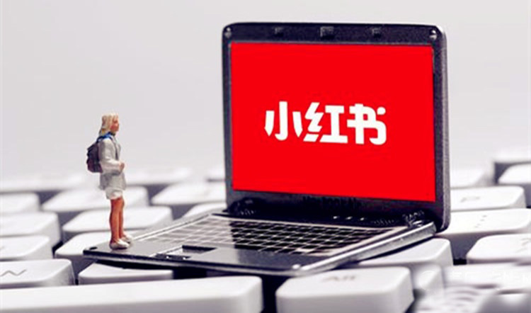 互联网创业做什么好？更容易上手操作的带货平台有哪些？