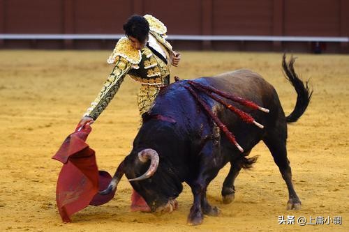 美国华尔街首次剪羊毛行动大肆掠夺农场主资本