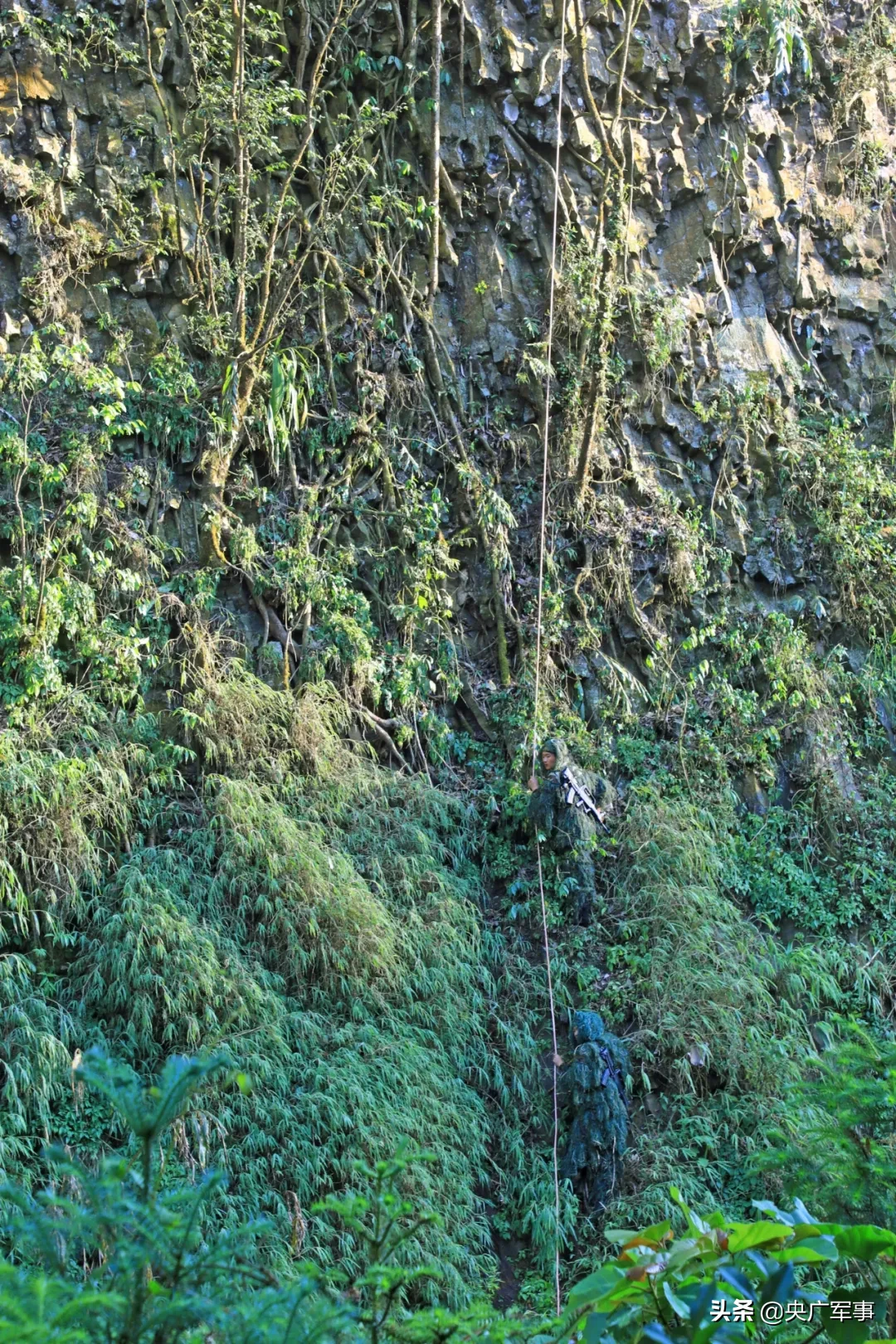 熱帶山岳叢林，偵察兵展開武裝滲透破襲