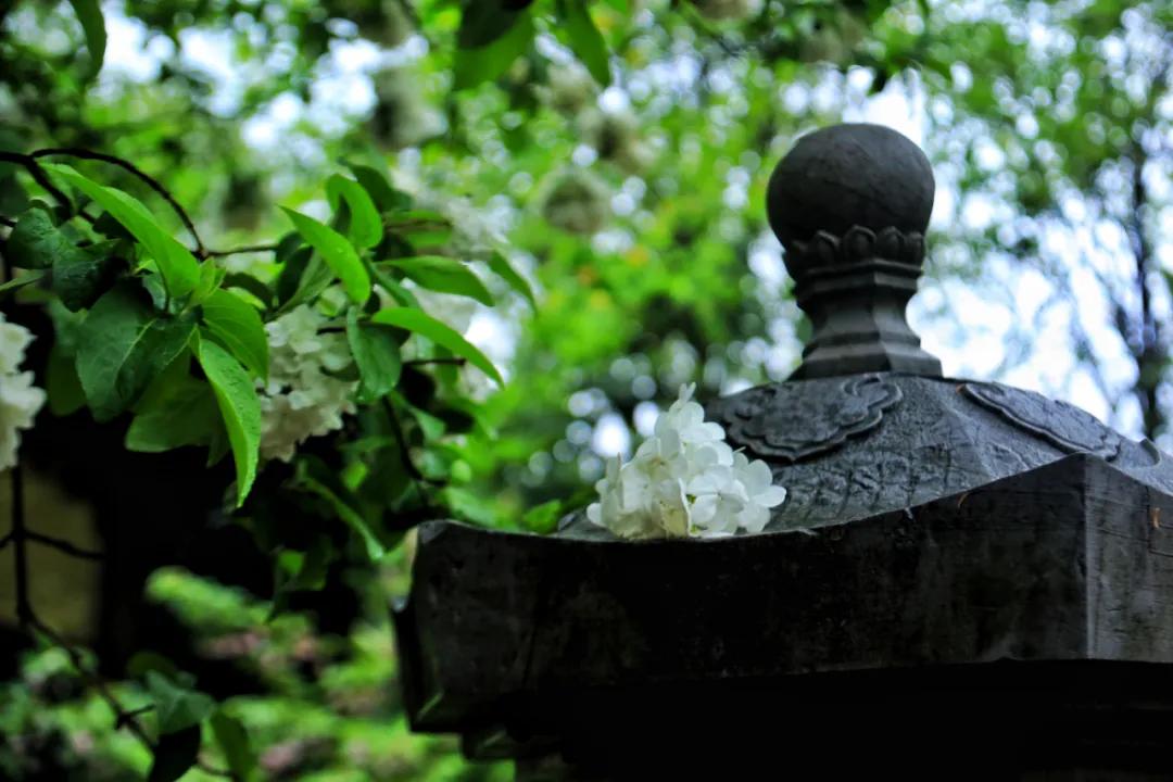 古代最幸运的10位诗词大神，只流传下来一首诗词，却成千古名作-第8张图片-非凡网