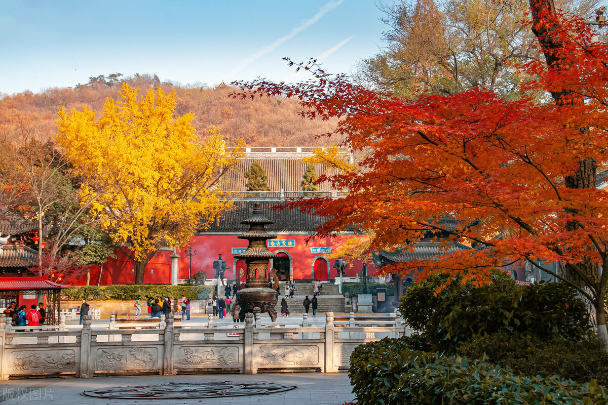 南京的秋天，美成了金陵该有的样子，谁能不爱？插图64