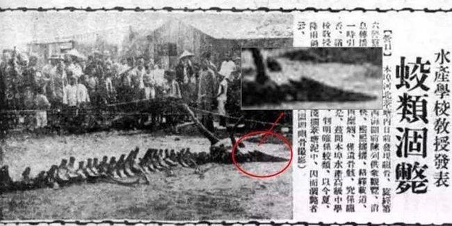 探讨营口坠龙事件的真实性：对“坠龙”的尺寸等特征有详细记载