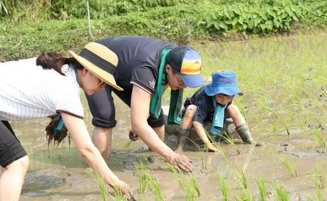 霍啟剛郭晶晶陪孩子過週末，哥哥帥氣，二妹霍中妍扎雙馬尾好可愛
