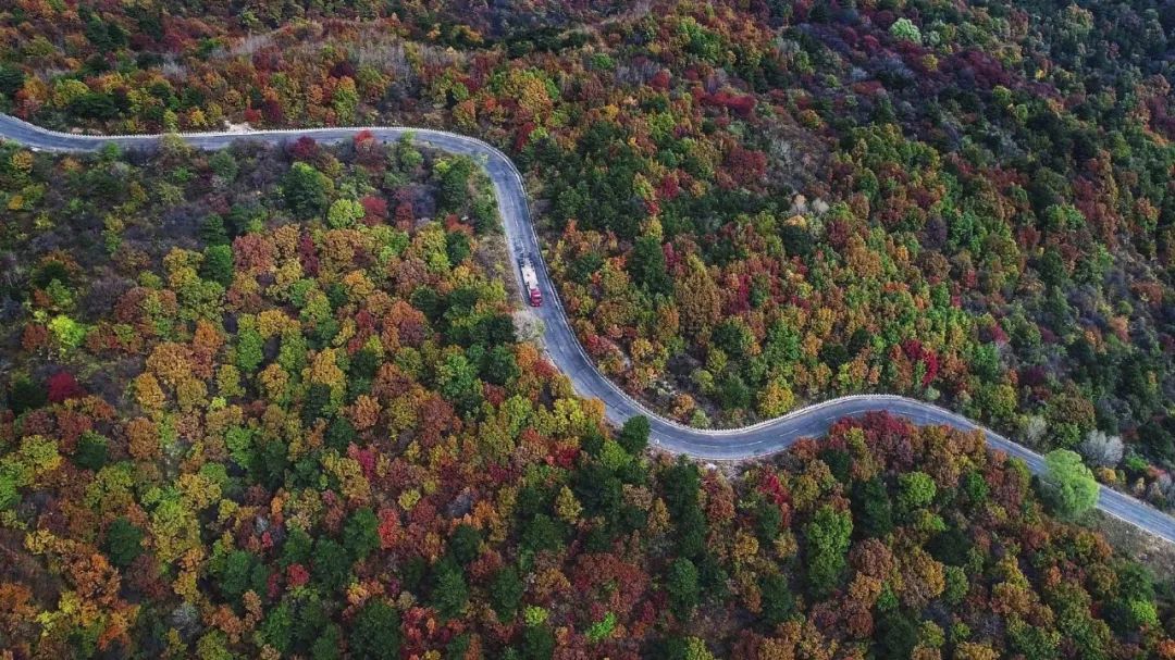Shanxi's beautiful tourist check-in place, it becomes a paradise on earth in autumn, which is amazing