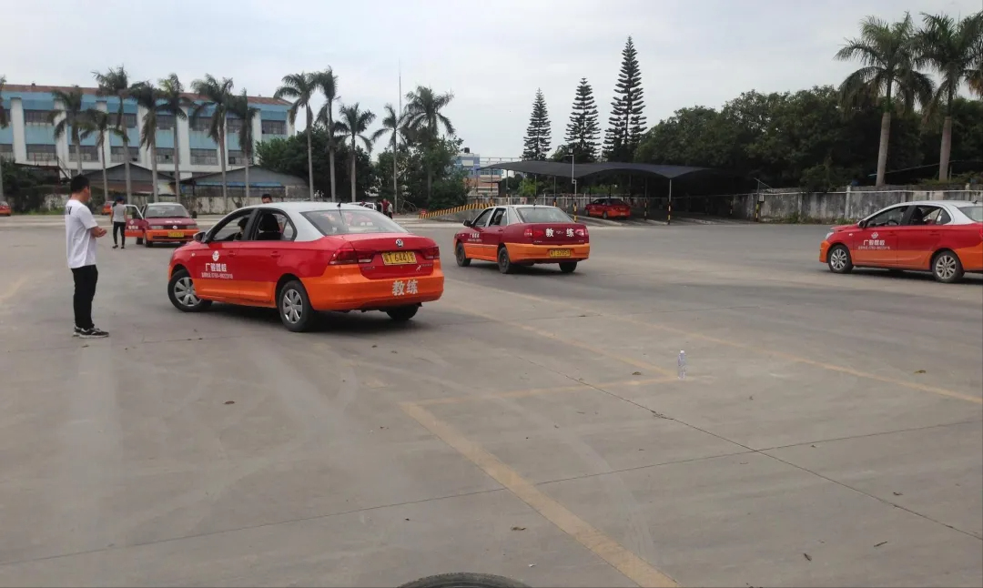 利用短视频，操作驾考赚钱项目副业，轻松实现财务自由