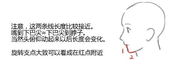 仰视角度的下巴和脖子怎么画？教你绘制人物下巴和脖子的关系体现