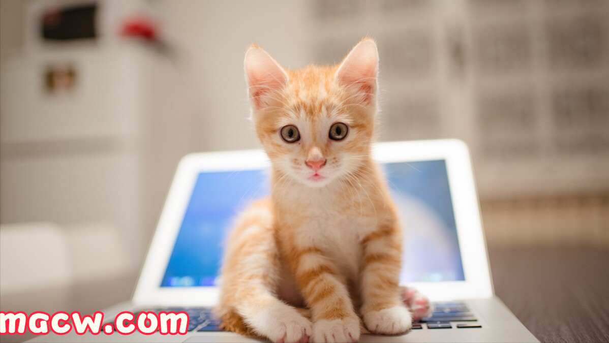 Mac简介——作为打算购买Mac的参考