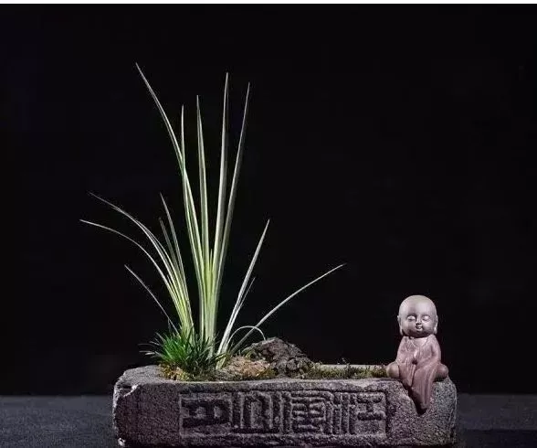 老磚老瓦收進小院,美絕了