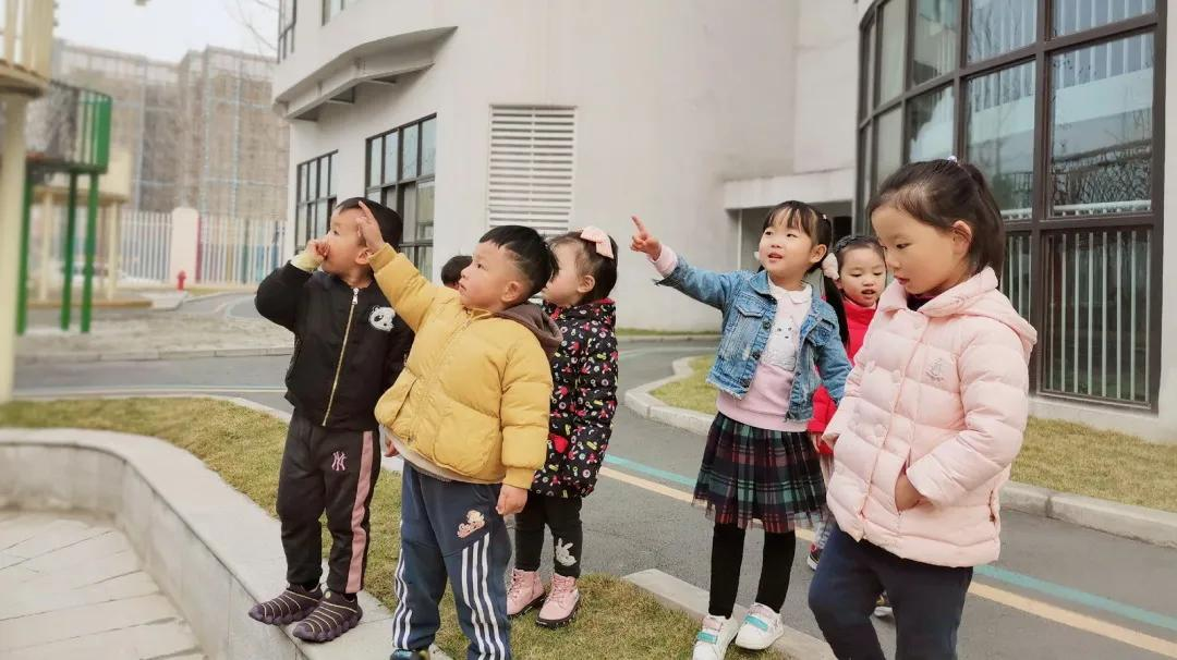 天府新区元音幼儿园丨耳朵的秘密